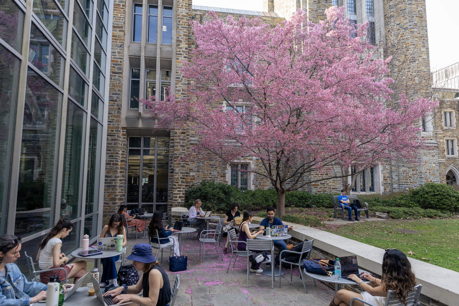Students on Duke University's West Campus